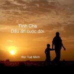 TÌNH CHA Dấu ấn cuộc đời