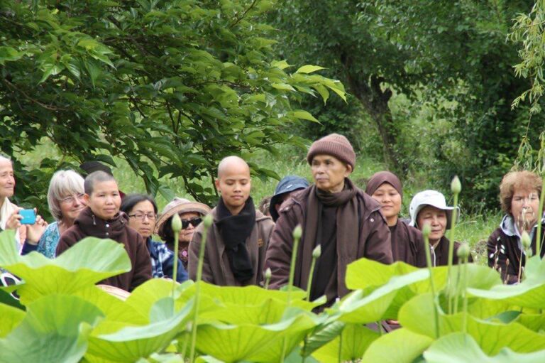 Đoá Sen Nảy Mầm - Sáng tác: Tuệ Minh - Thích Phước Toàn