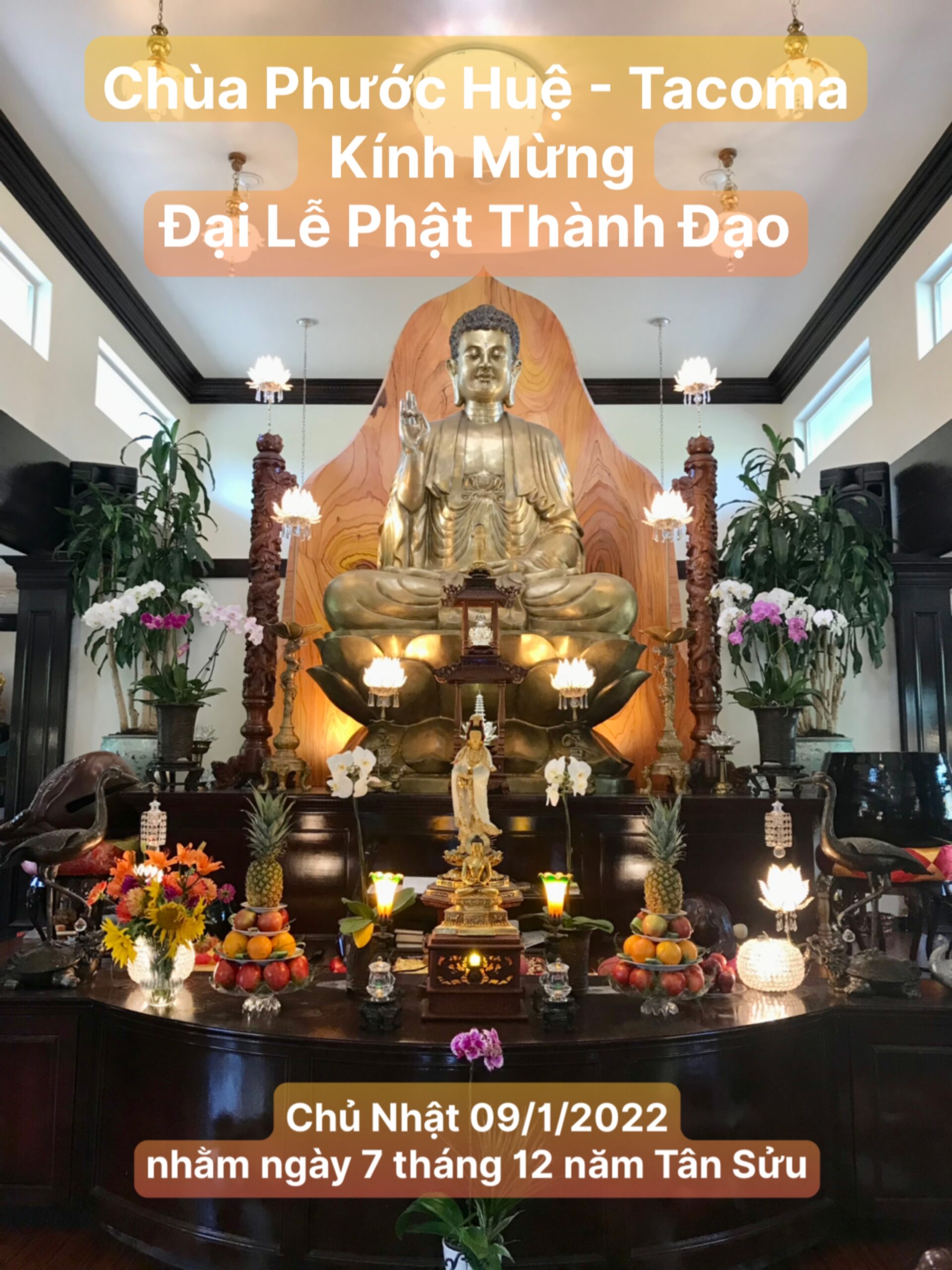 Kính Mừng Đại Lễ Phật Thành Đạo