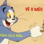 Vè O MÈO, Tết Quý Mão 2023