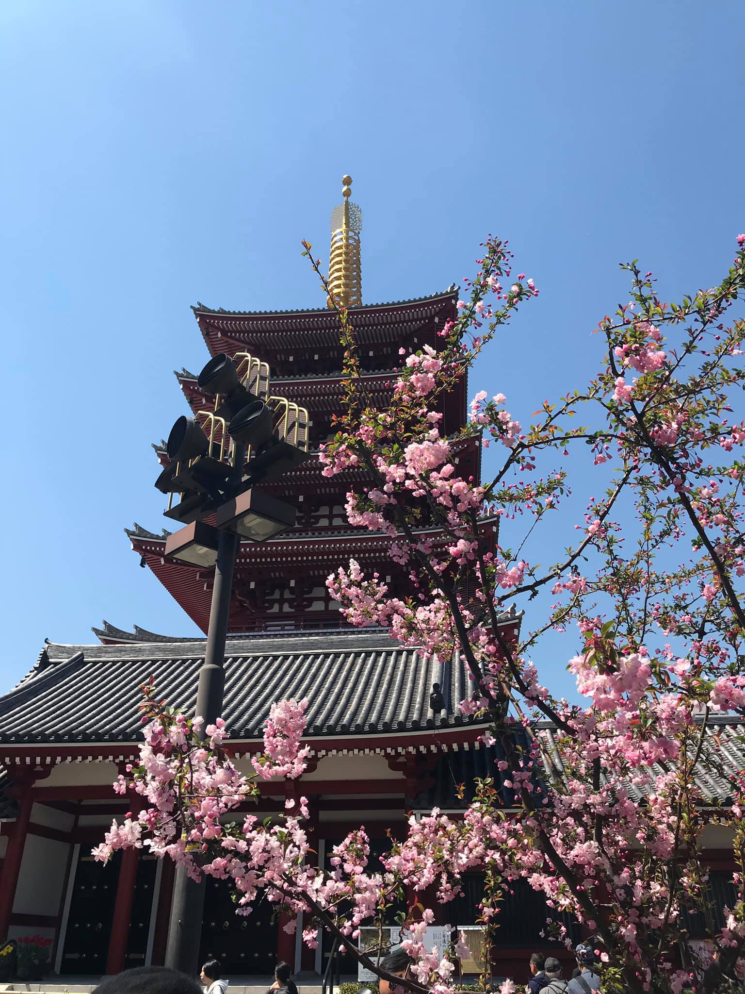 Một số hình ảnh tại Sensoji (浅草寺, Sensōji,) còn gọi là Chùa Quán Âm ở Asakusa, Nhật Bản