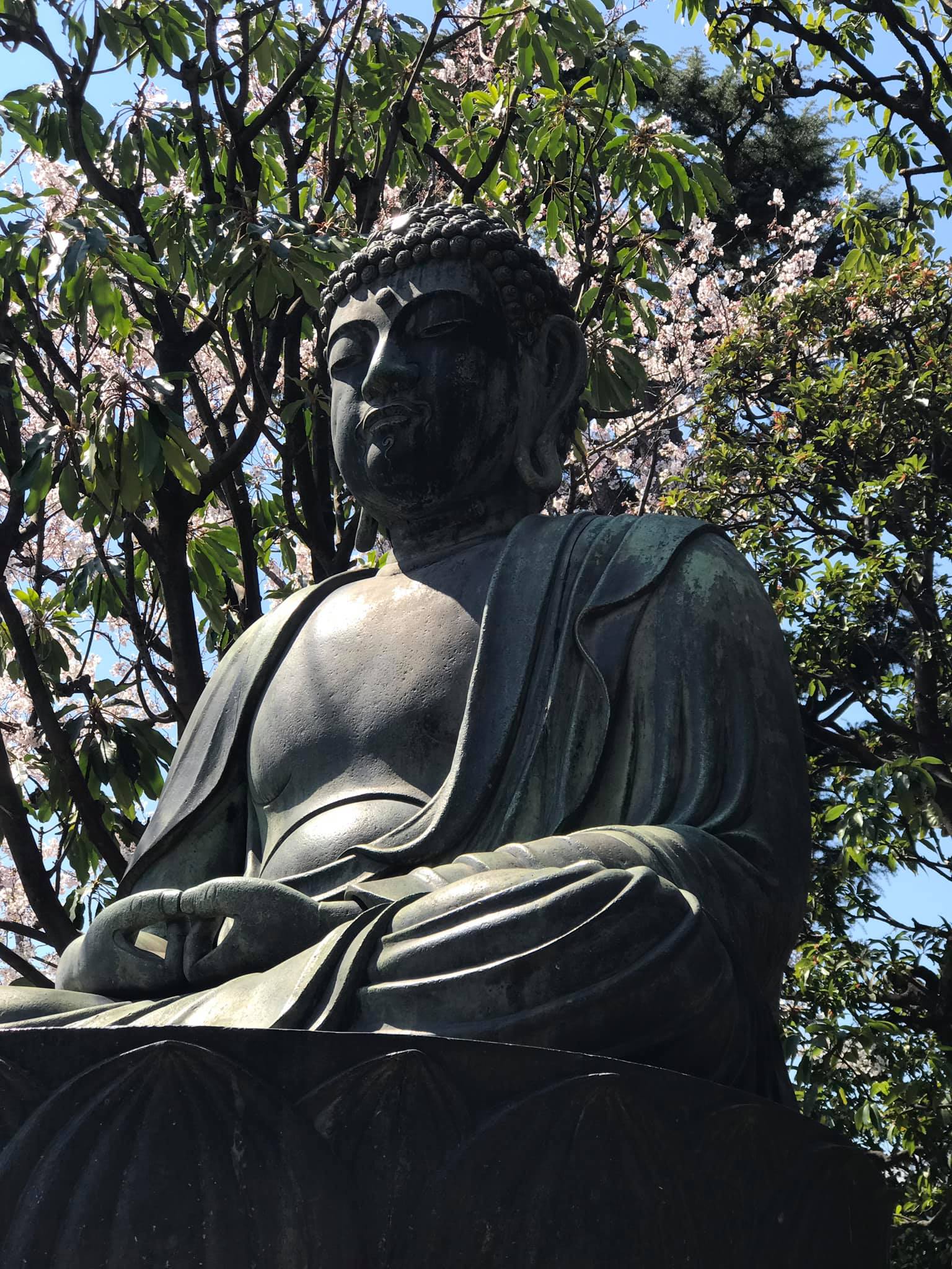 Một số hình ảnh tại Sensoji (浅草寺, Sensōji,) còn gọi là Chùa Quán Âm ở Asakusa, Nhật Bản