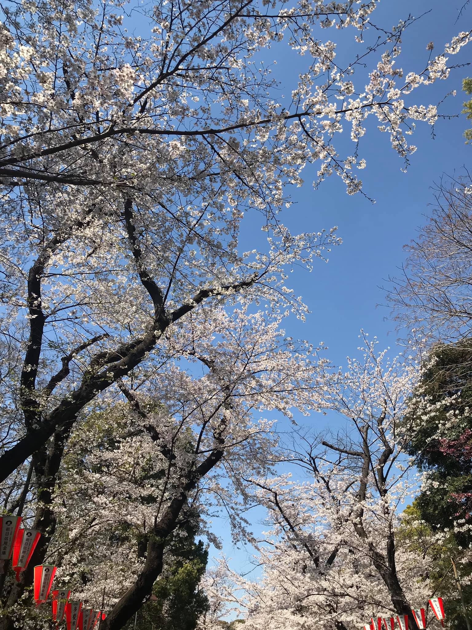 Một số hình ảnh tại Sensoji (浅草寺, Sensōji,) còn gọi là Chùa Quán Âm ở Asakusa, Nhật Bản