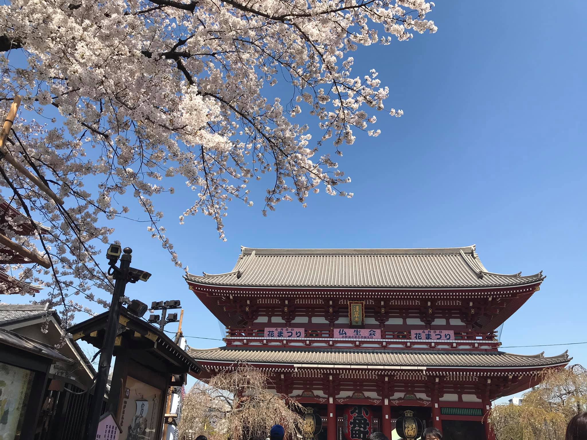 Một số hình ảnh tại Sensoji (浅草寺, Sensōji,) còn gọi là Chùa Quán Âm ở Asakusa, Nhật Bản