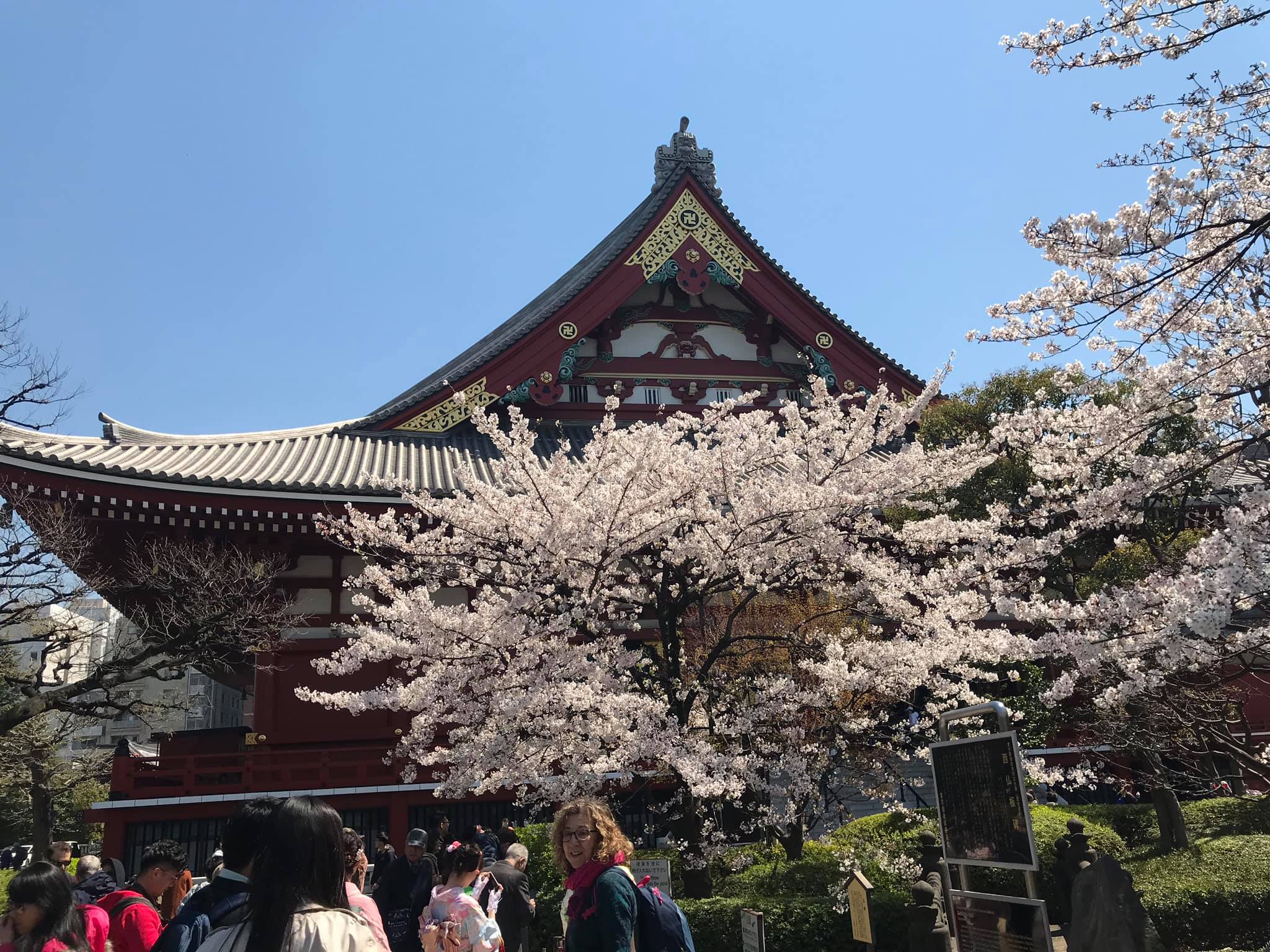 Một số hình ảnh tại Sensoji (浅草寺, Sensōji,) còn gọi là Chùa Quán Âm ở Asakusa, Nhật Bản