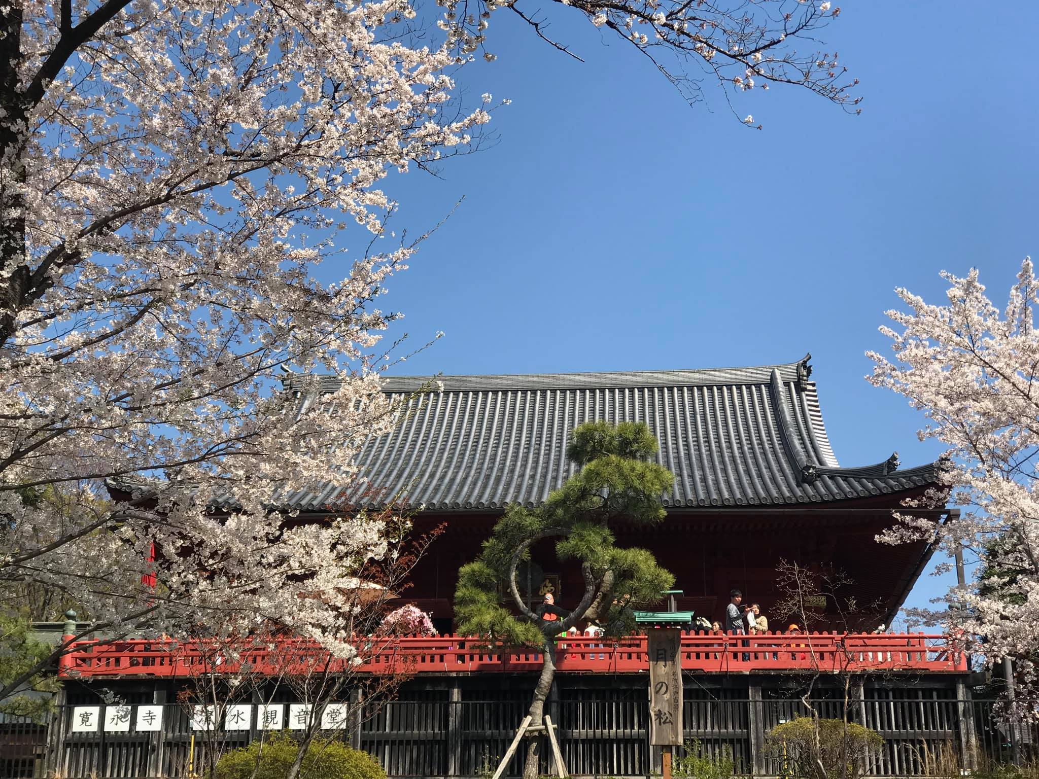 Một số hình ảnh tại Sensoji (浅草寺, Sensōji,) còn gọi là Chùa Quán Âm ở Asakusa, Nhật Bản