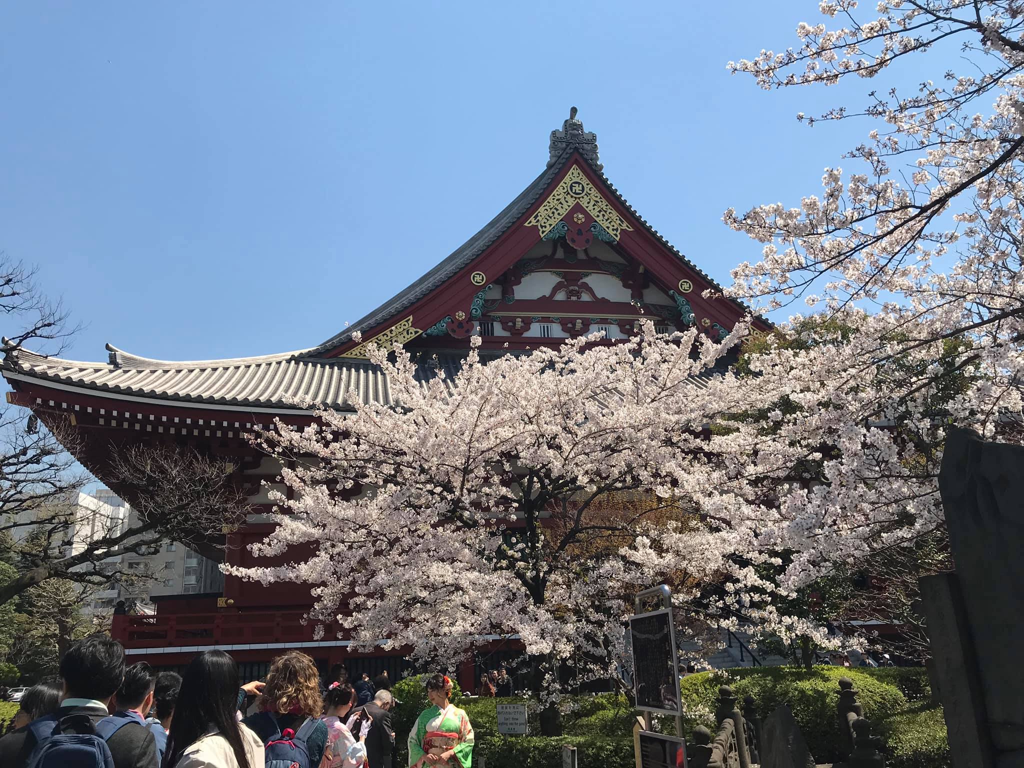 Một số hình ảnh tại Sensoji (浅草寺, Sensōji,) còn gọi là Chùa Quán Âm ở Asakusa, Nhật Bản