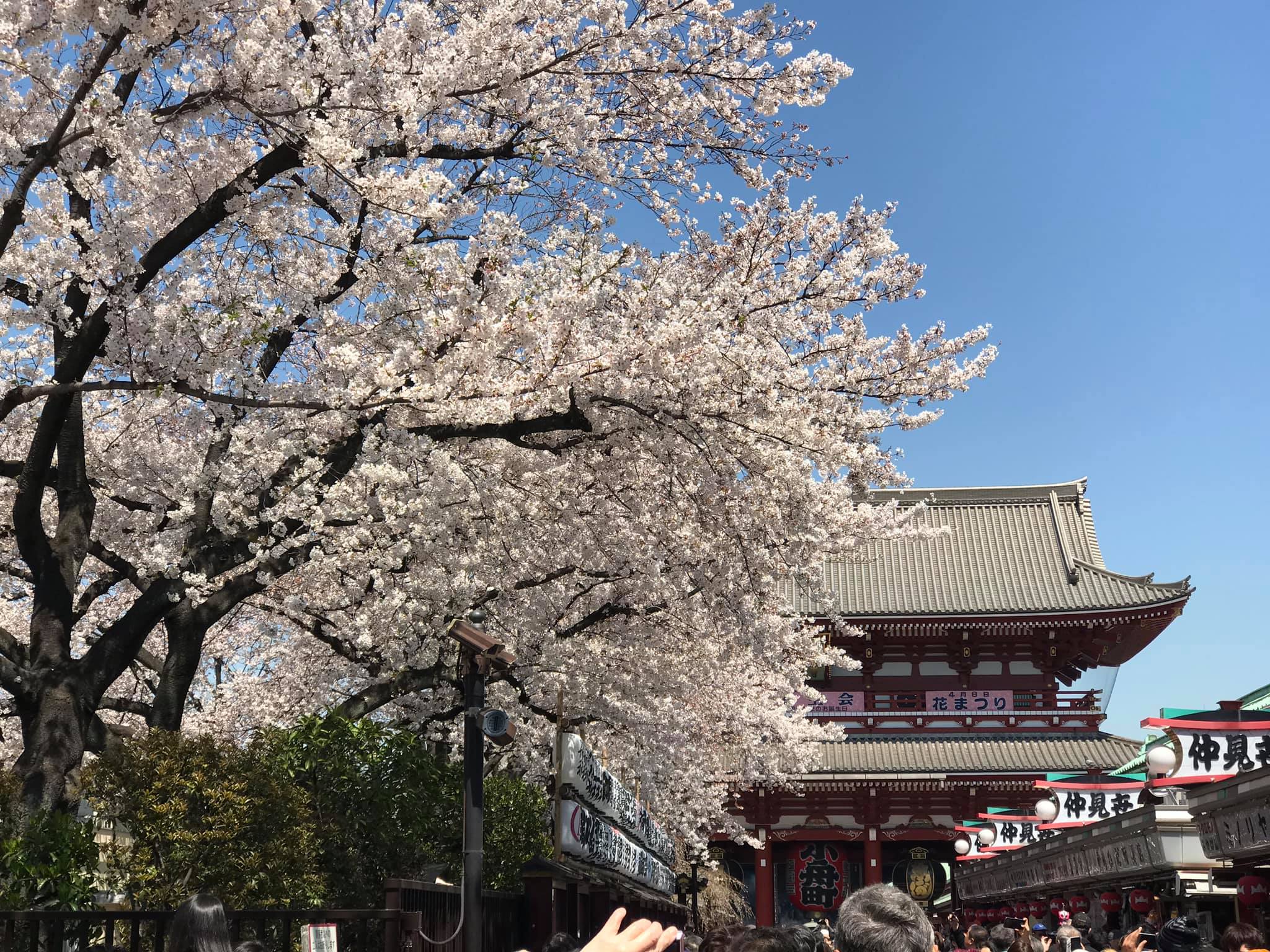 Một số hình ảnh tại Sensoji (浅草寺, Sensōji,) còn gọi là Chùa Quán Âm ở Asakusa, Nhật Bản