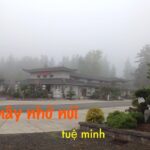 Mây nhớ núi - Tuệ Minh - Thích Phước Toàn